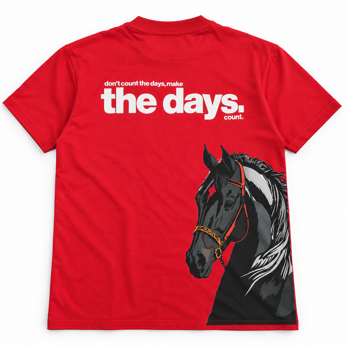 The Days Oversized Graphic T-Shirt | 220 gsm , 100% cotton
